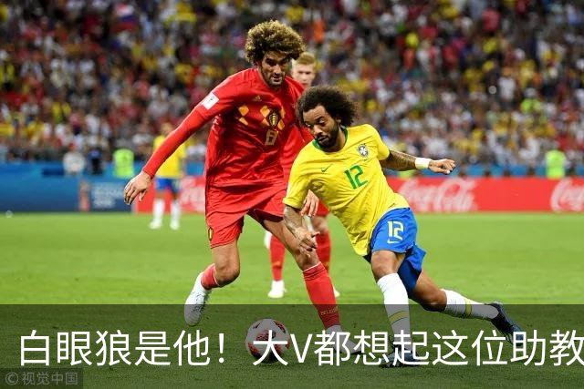 白眼狼是他！大V都想起这位助教 把鲁能告上法庭